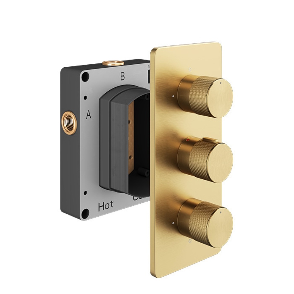 Product Cut out image of the Abacus Iso Pro Brushed Brass 3 Outlet 3 Handle Thermostatic Shower Valve